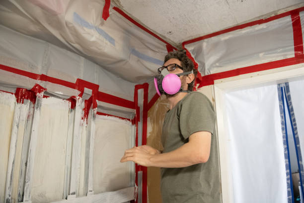 Best Attic Mold Removal  in Hillsborough, CA