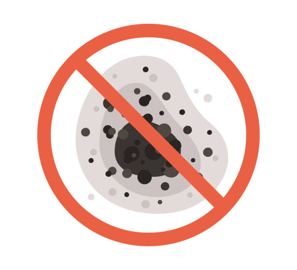 Best Mold Remediation for Healthcare Facilities  in Hillsborough, CA
