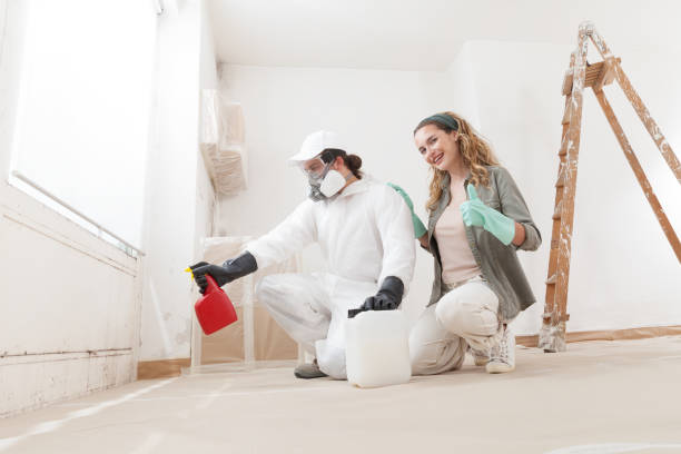 Best Crawl Space Mold Remediation  in Hillsborough, CA